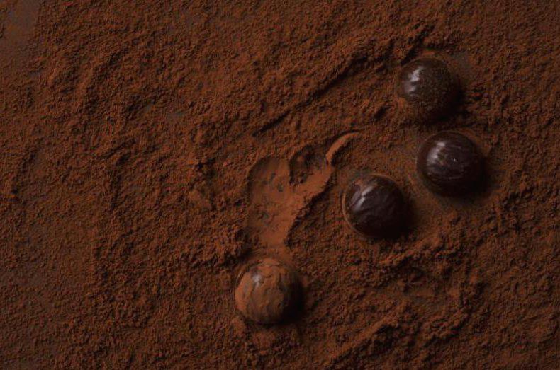 Kakao – 5 rzeczy, których nie wiedziałeś o kakao!